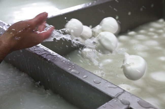 Studio Fattibilità Impianto Caseario