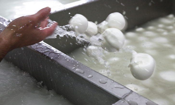 Studio Fattibilità Impianto Caseario Studio Fattibilità Impianto Caseario