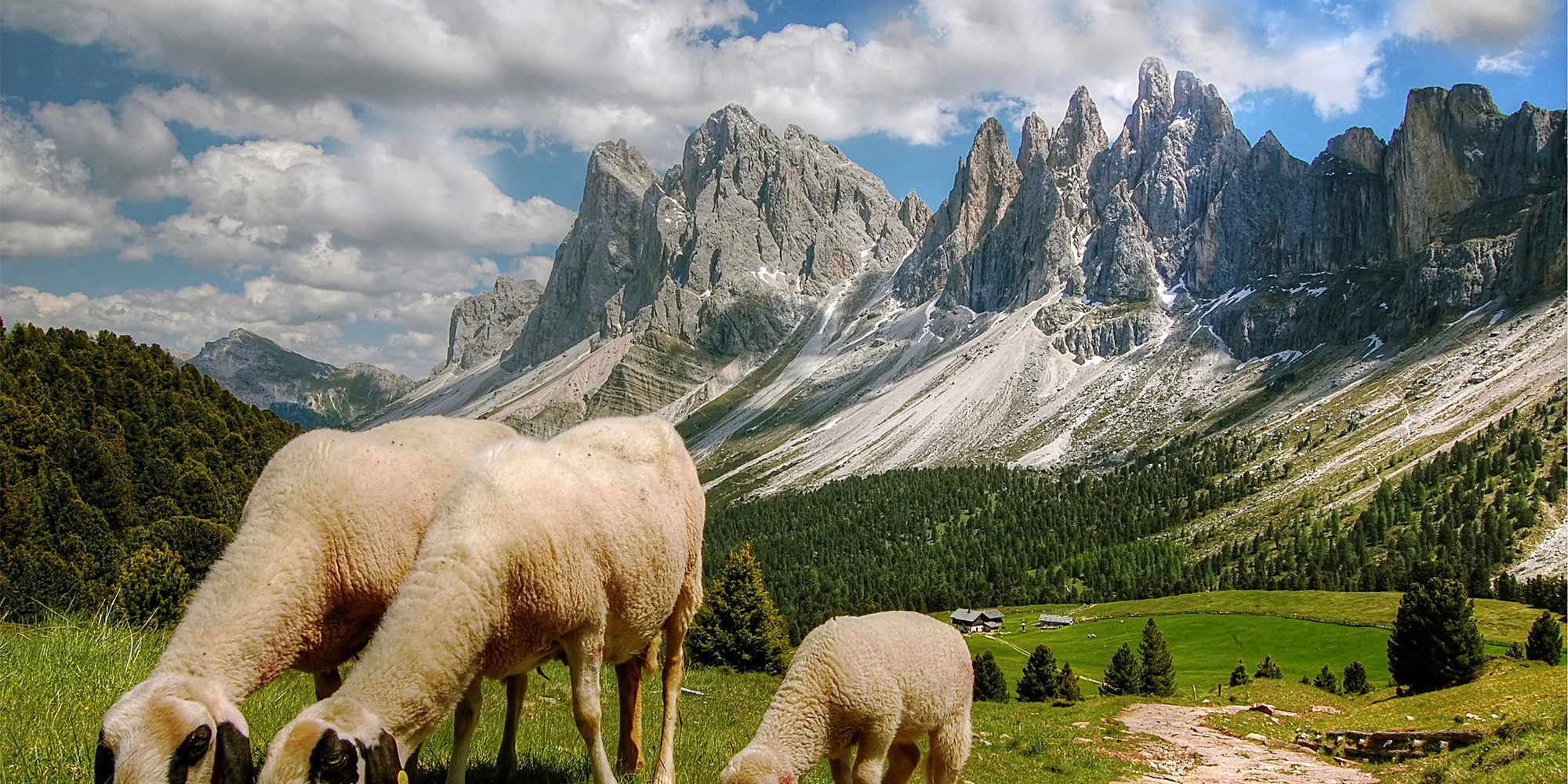 Progettazione Minicaseifici Progettazione Minicaseifici