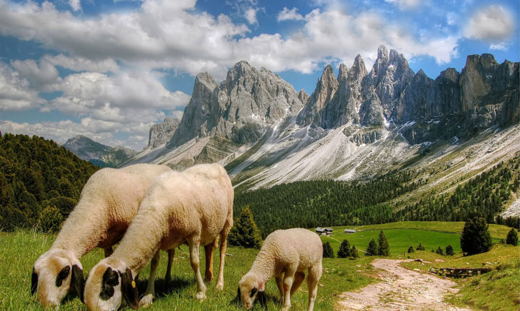 Progettazione Minicaseifici Progettazione Minicaseifici