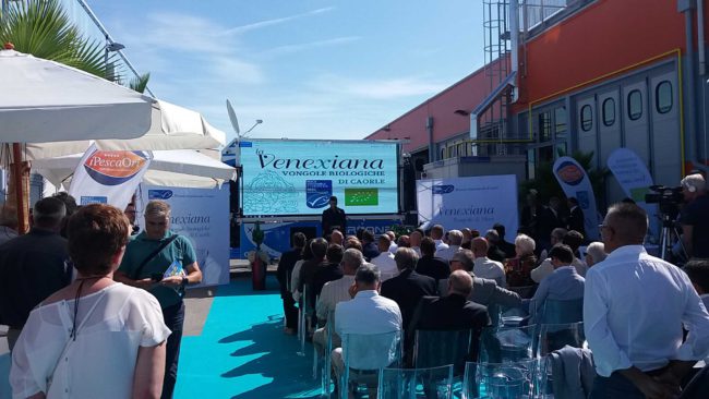 impianto lavorazione molluschi