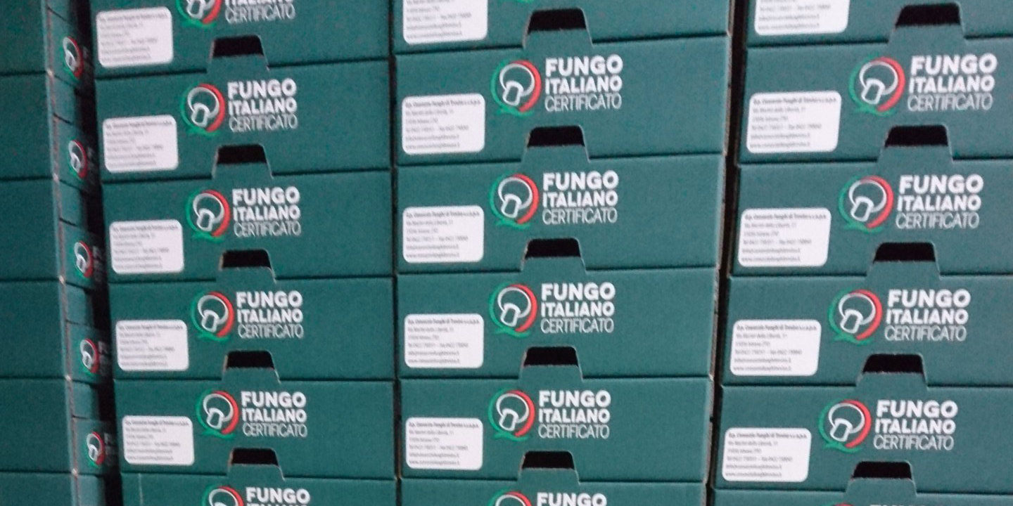 Impianti Lavorazione Funghi Impianti Lavorazione Funghi