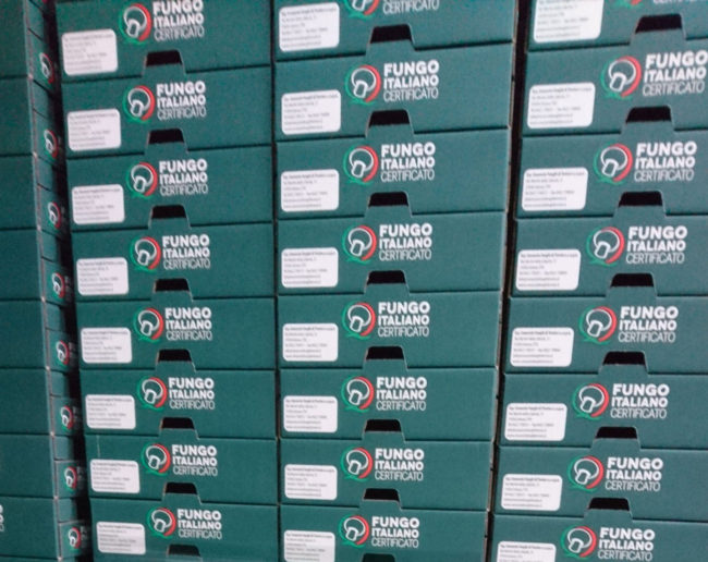 Impianti Lavorazione Funghi