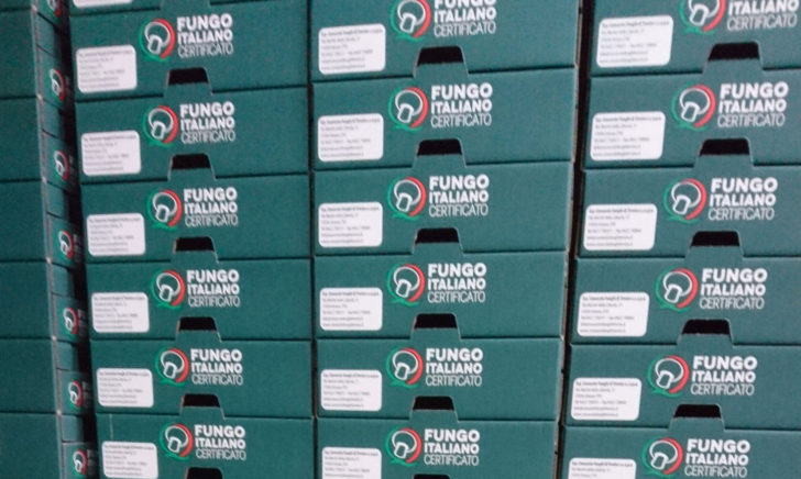 Impianti Lavorazione Funghi Impianti Lavorazione Funghi