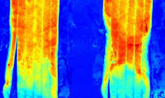 imaging Imaging iperspettrale industria alimentare