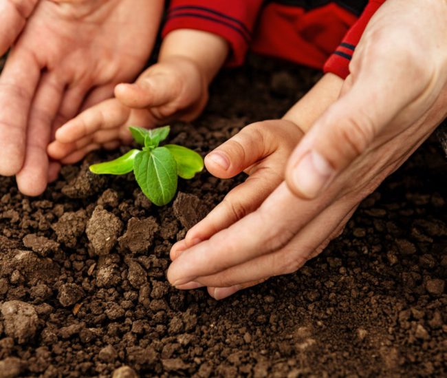 Permitting Ambientale