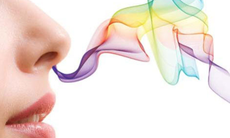 Controllo emissioni odorigene Controllo emissioni odorigene