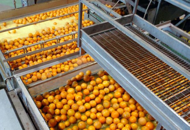 Riutilizzo scarti lavorazioni agrumarie