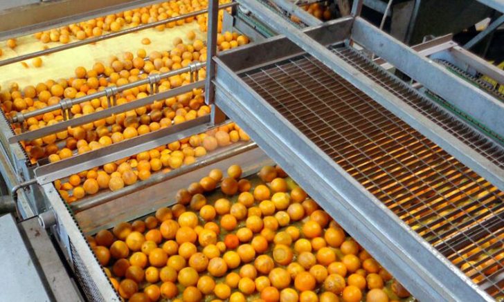 agrumi Riutilizzo scarti lavorazioni agrumarie