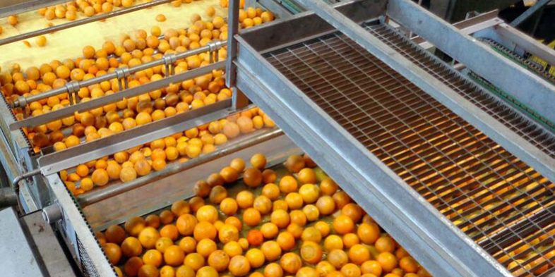 agrumi Riutilizzo scarti lavorazioni agrumarie