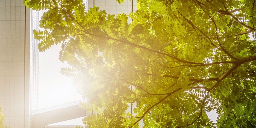 compatibilita-ambientale Compatibilità ambientale degli impianti industriali