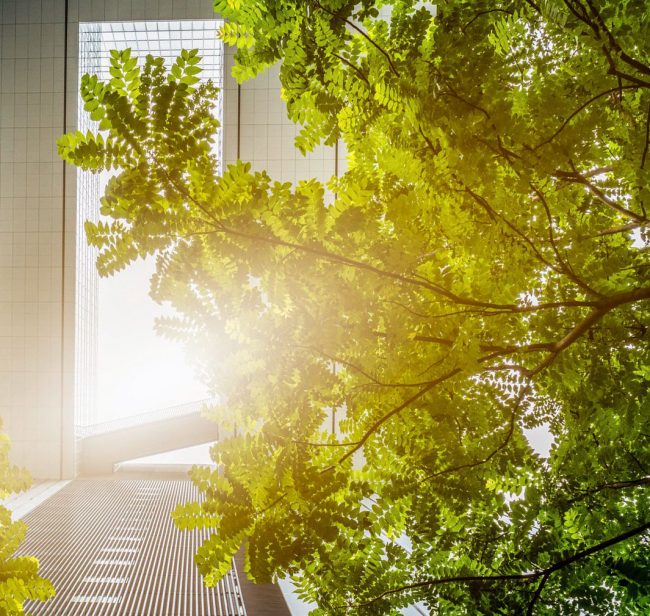 Compatibilità ambientale degli impianti industriali