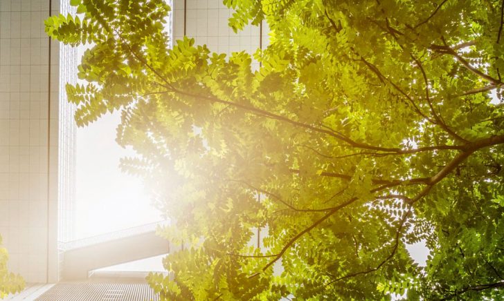 compatibilita-ambientale Compatibilità ambientale degli impianti industriali