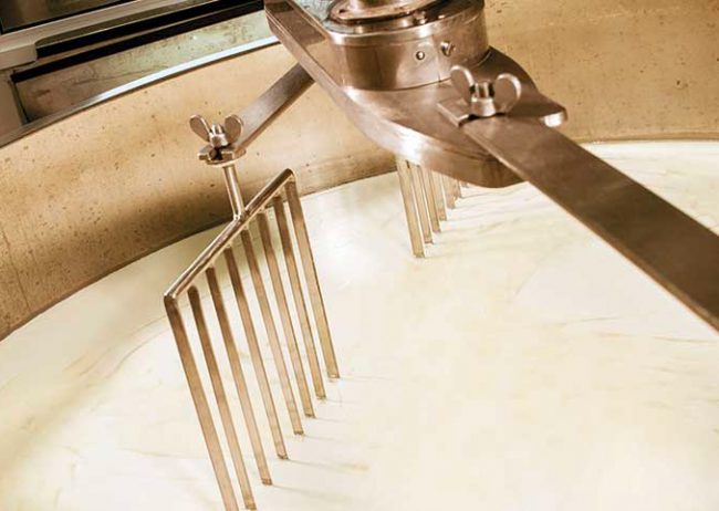 Progettazione Caseificio Artigianale