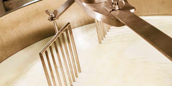 caseificio Progettazione Caseificio Artigianale