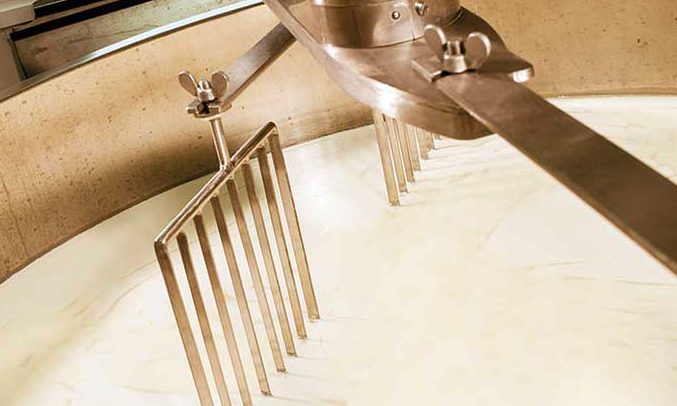 caseificio Progettazione Caseificio Artigianale