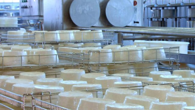 Progettazione Linee complete di produzione formaggi