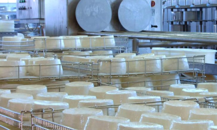 latteria Progettazione Linee complete di produzione formaggi