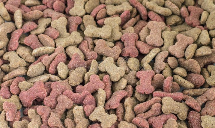 petfood Progettazione impianti produzione pet food