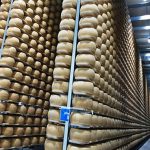 Progettazione magazzini stagionatura formaggi