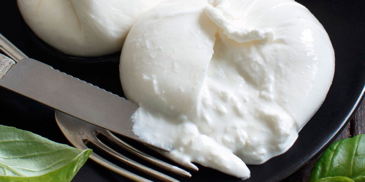 Progettazione impianti produzione burrata