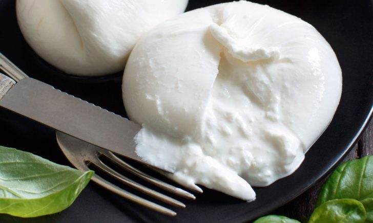 burrata Progettazione impianti produzione burrata