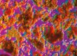 Progettazione impianti industria biochimica