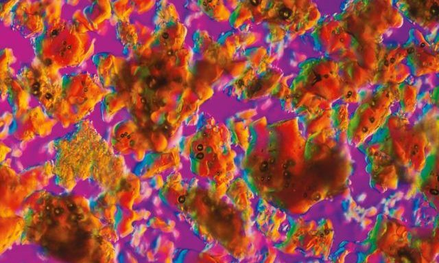 biochimica Progettazione impianti industria biochimica