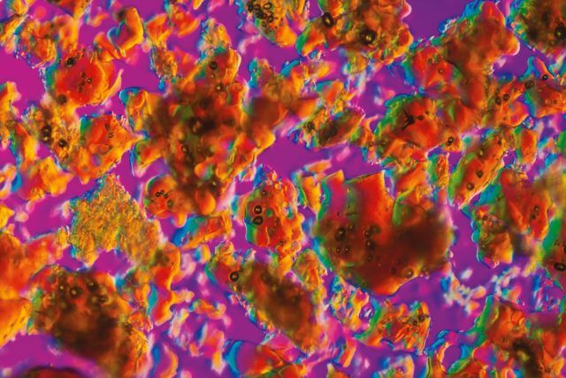 Progettazione impianti industria biochimica