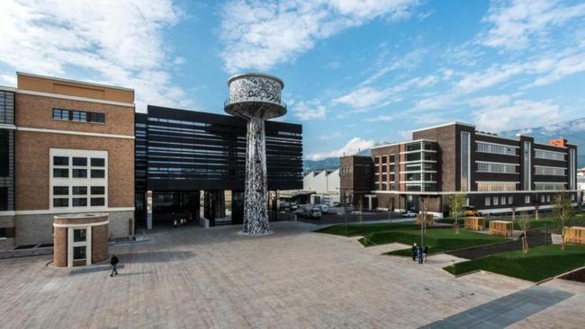 Estrazione di microRNA vegetali per l'industria