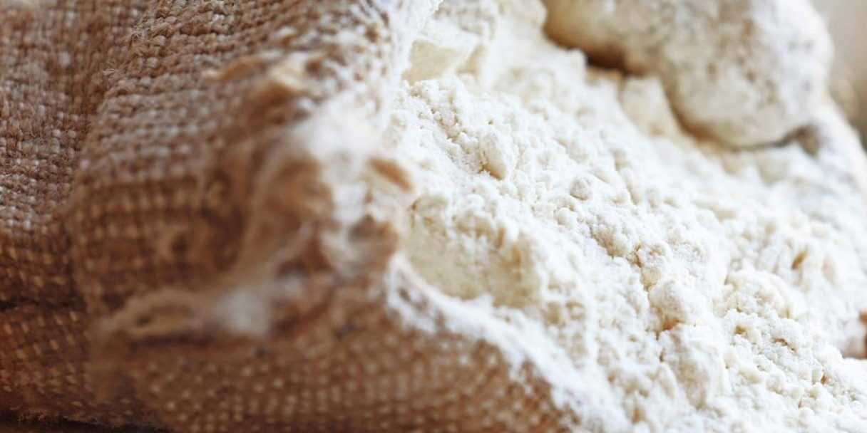 farine Consulenza tecnica impianti produzione farine