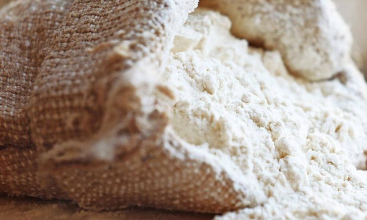 farine Consulenza tecnica impianti produzione farine