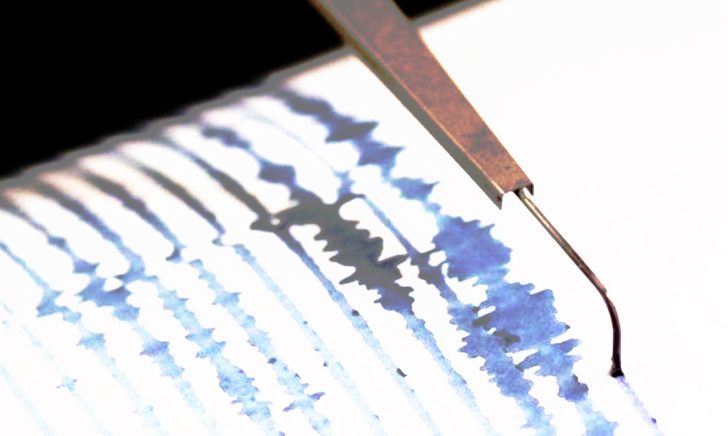 Sismografi2 Sismabonus capannoni industriali