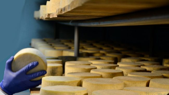 Bio-sicurezza e igiene nella progettazione di un caseificio