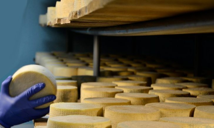 caseificio Bio-sicurezza e igiene nella progettazione di un caseificio