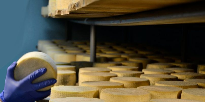 caseificio Bio-sicurezza e igiene nella progettazione di un caseificio