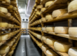 Progettazione impianti stagionatura formaggi