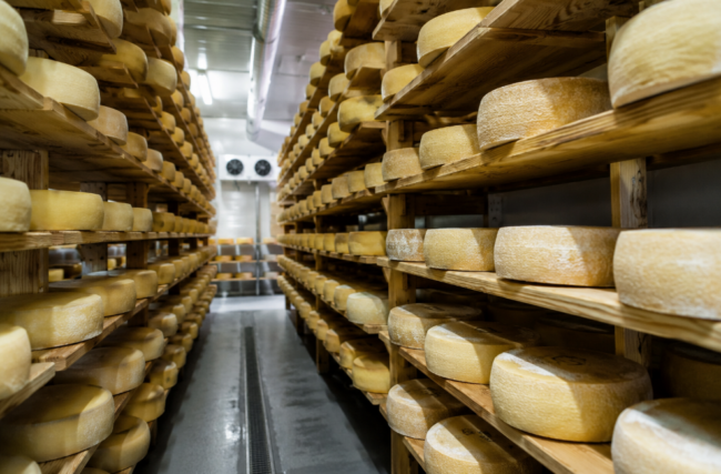 Progettazione impianti stagionatura formaggi