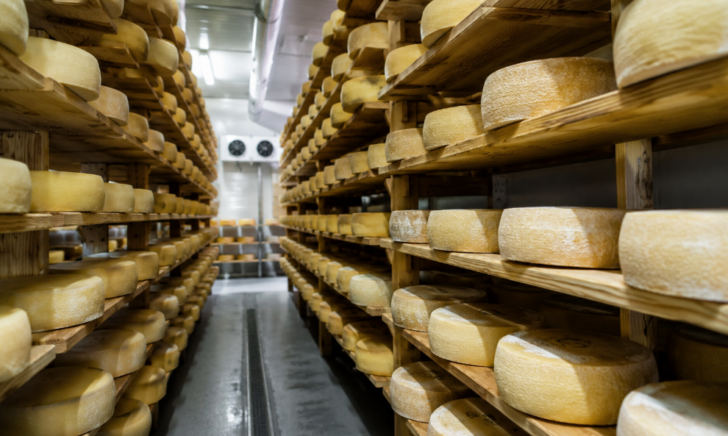 Progettazione impianti stagionatura formaggi