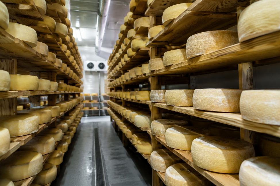 Schermata 2026-06-23 alle 17.59.53 Progettazione impianti stagionatura formaggi