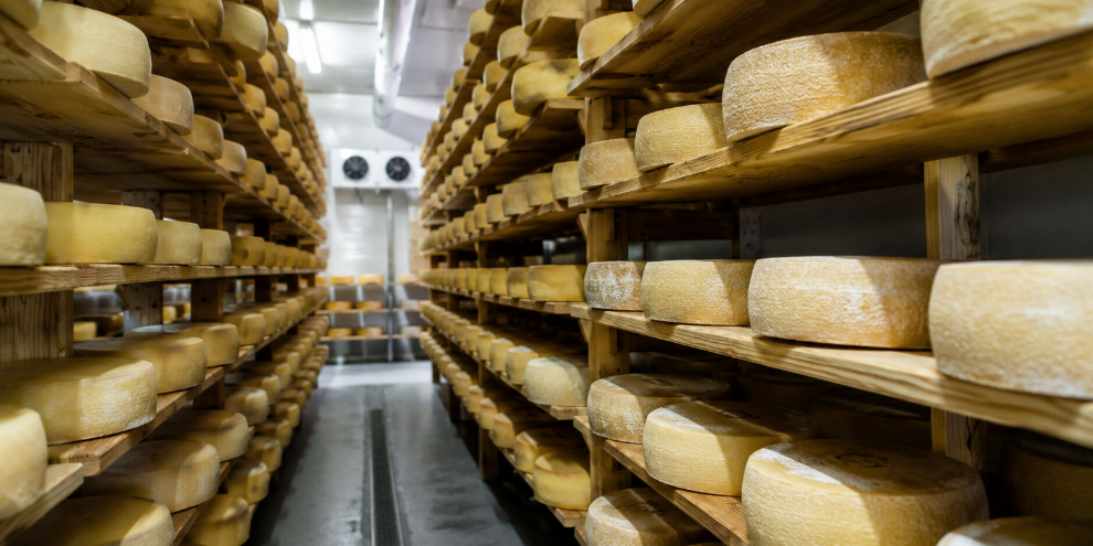 Schermata 2026-06-23 alle 17.59.53 Progettazione impianti stagionatura formaggi